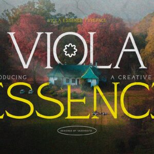 Viola Essence Creative Serif