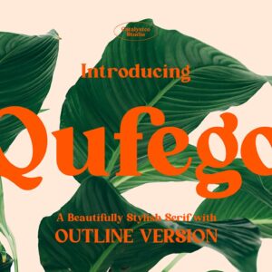 Qufego Stylish Serif Font
