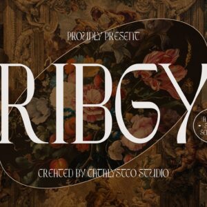 Ribgy Stylish Serif Font