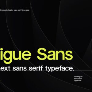 TrigueSans Sans Serif Font