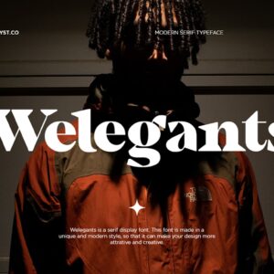 Welegants Modern Serif Typeface Font