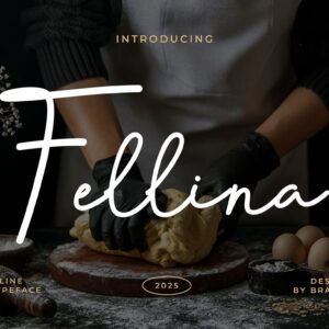 Fellina Monoline Script Font