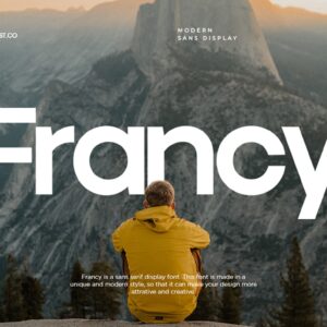 Francy Modern Sans Display Font