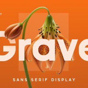 Grave Modern Sans Serif Font