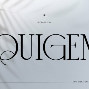 Quigen Sans Serif Font