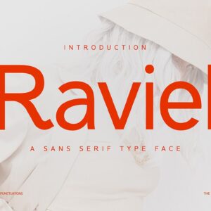 Raviel Sans Serif Font