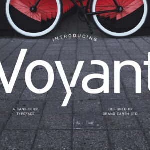 Voyant Sans Serif Font
