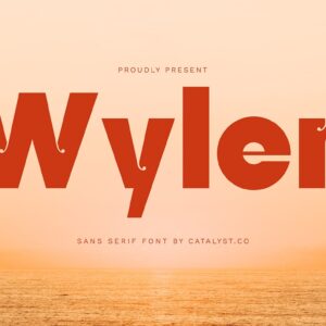 Wyler Sans Serif Font