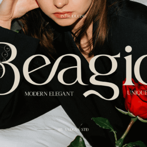 Beagio Elegant Unique Serif Font