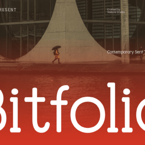 Bitfolio Contemporary Serif