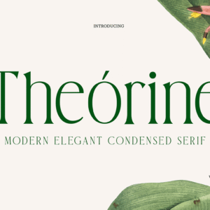 Theorine Modern Elegant Serif